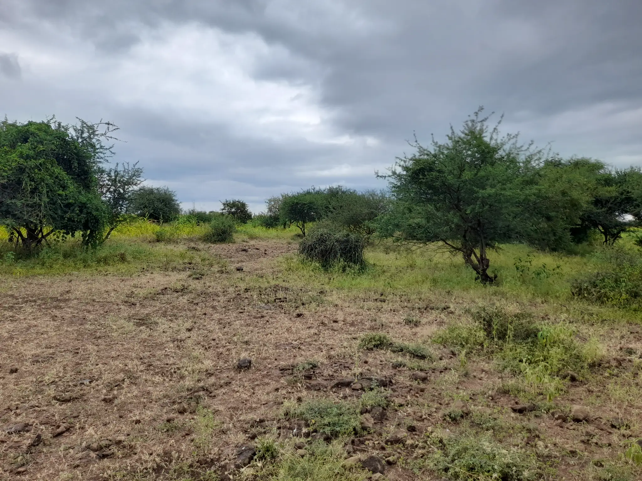 Shamba zuri la ekari 1.8 Olodenderit