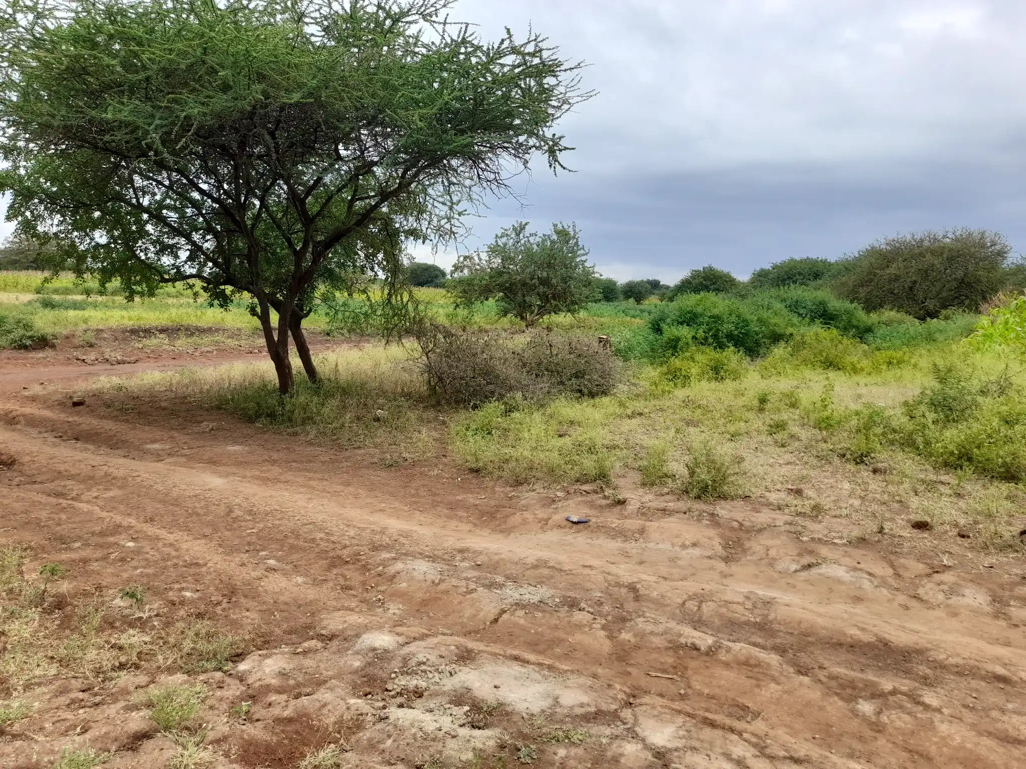 Shamba zuri la ekari 1.8 Olodenderit