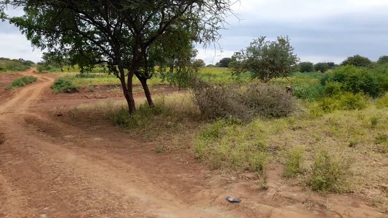 Shamba zuri la ekari 1.8 Olodenderit