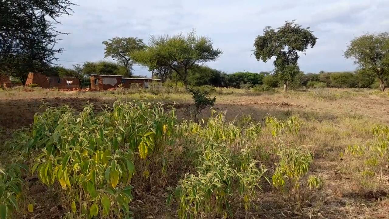 Kiwanja Bora cha 19×40m Karibu na Barabara ya Naberera chenye Maji na Umeme