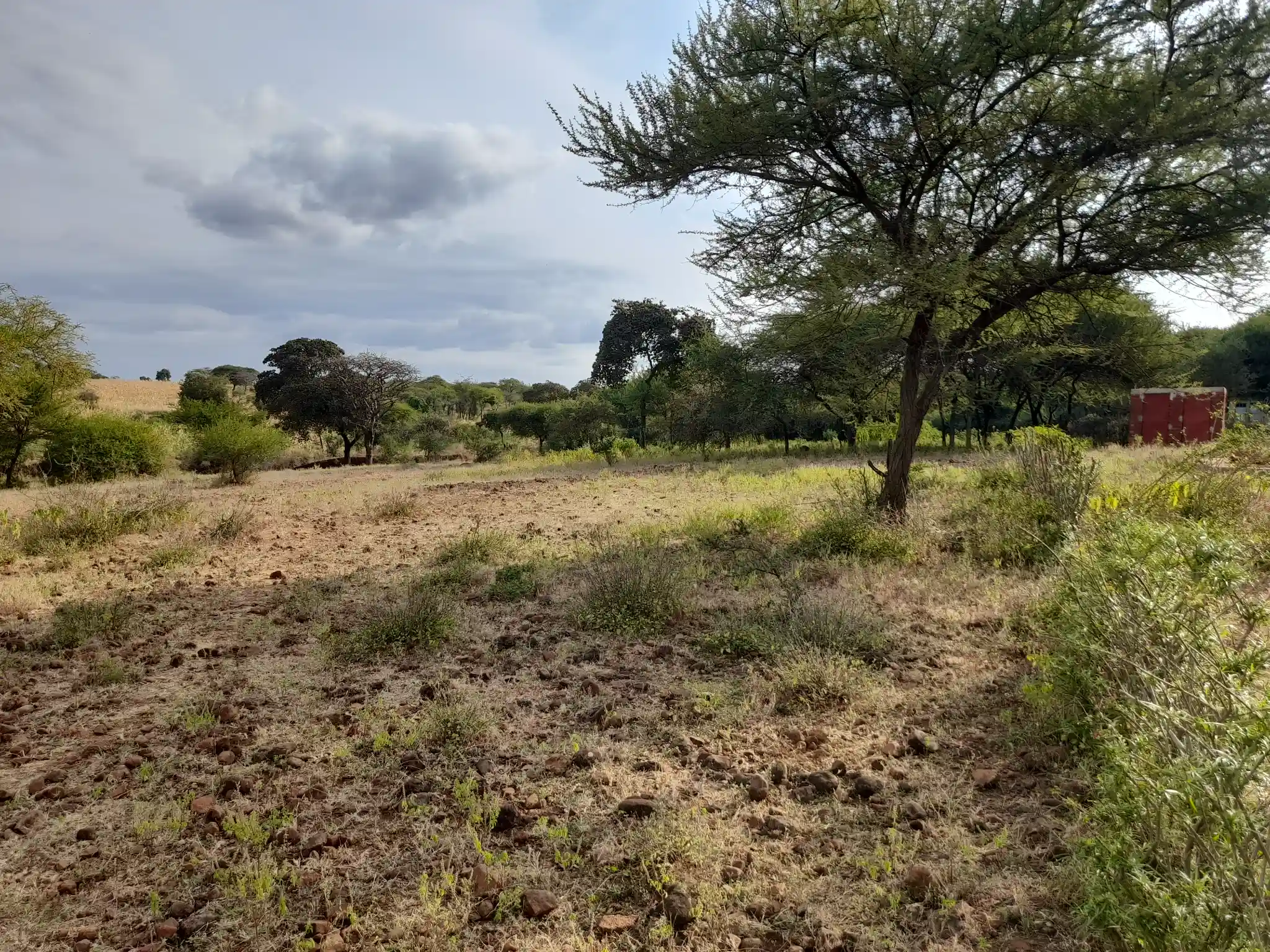 Kiwanja Bora cha 19×40m Karibu na Barabara ya Naberera chenye Maji na Umeme