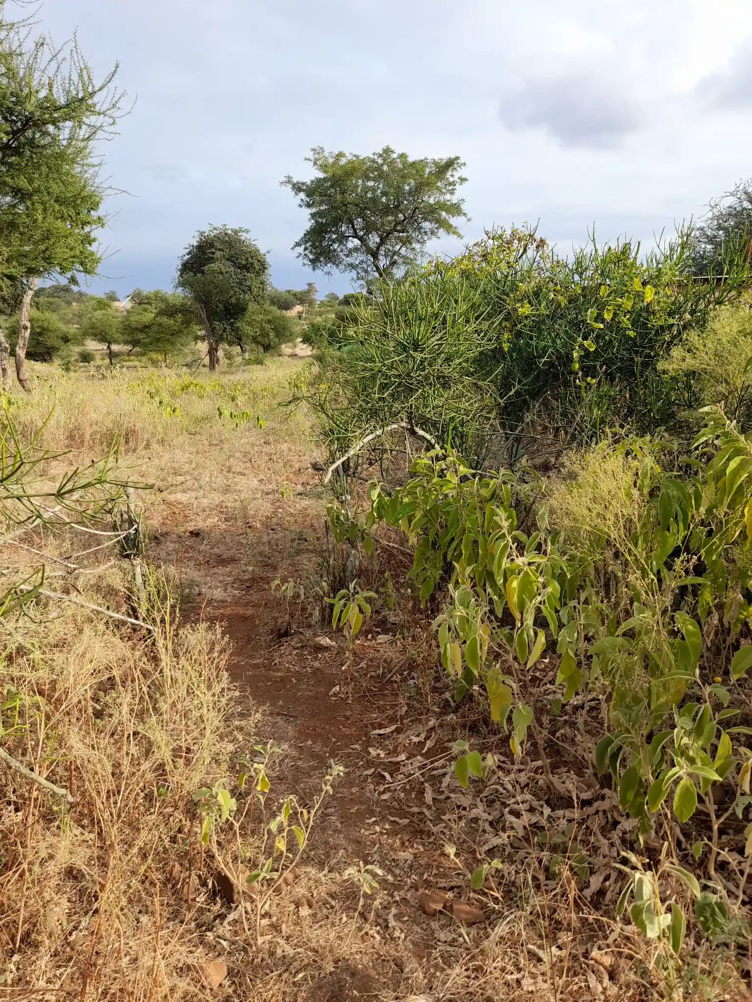 Kiwanja Bora cha 19×40m Karibu na Barabara ya Naberera chenye Maji na Umeme