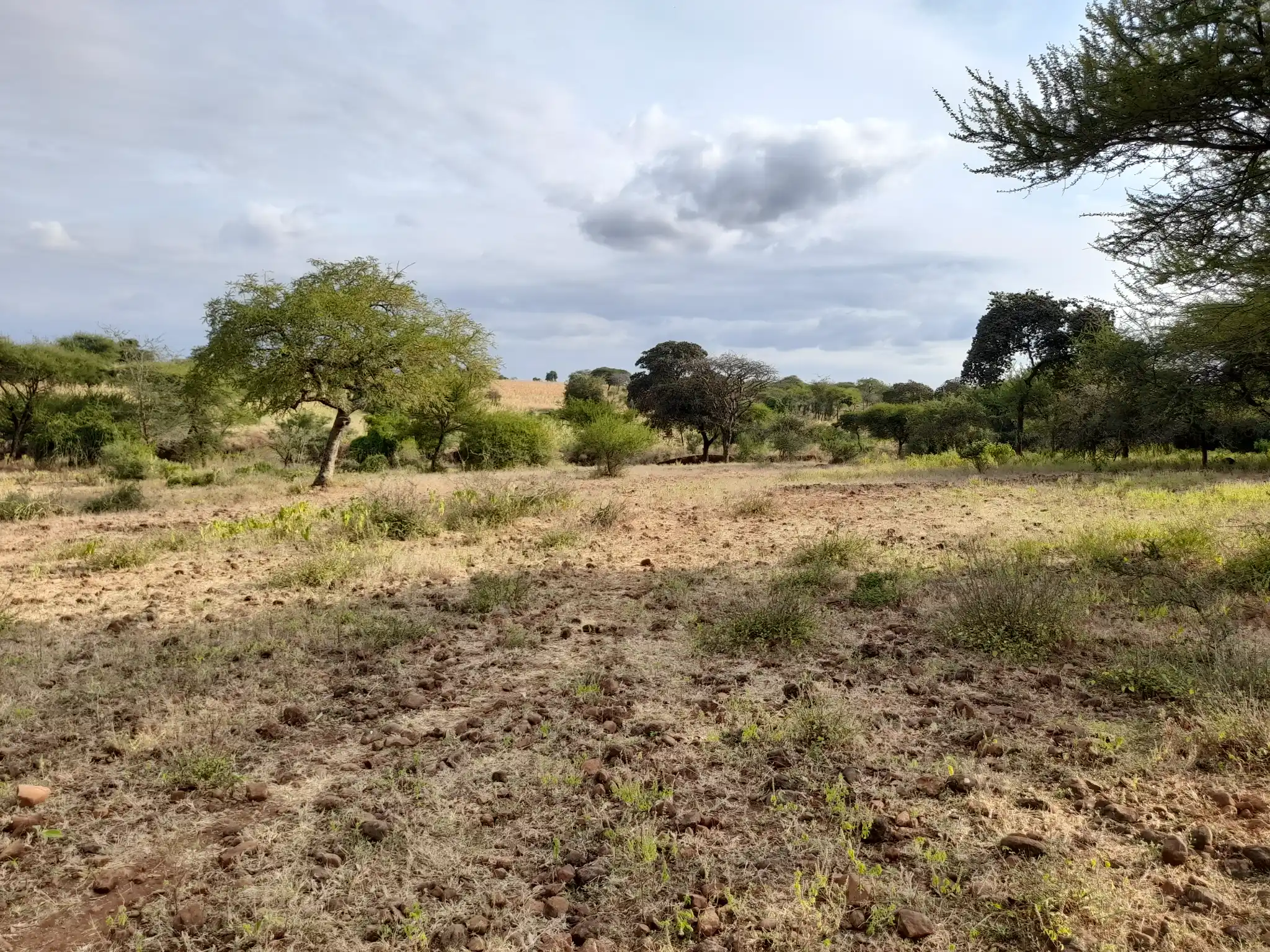 Kiwanja Bora cha 19×40m Karibu na Barabara ya Naberera chenye Maji na Umeme