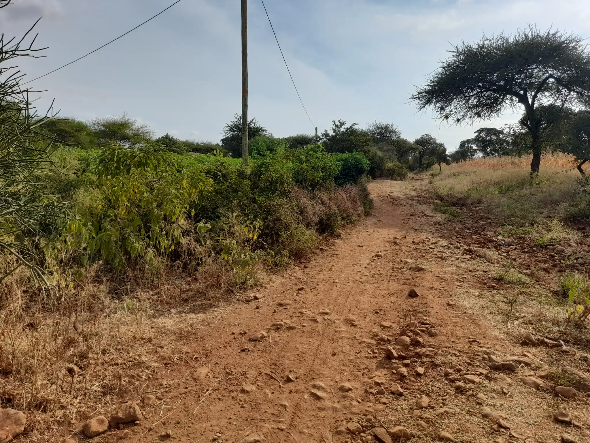 Kiwanja Bora cha 19×40m Karibu na Barabara ya Naberera chenye Maji na Umeme