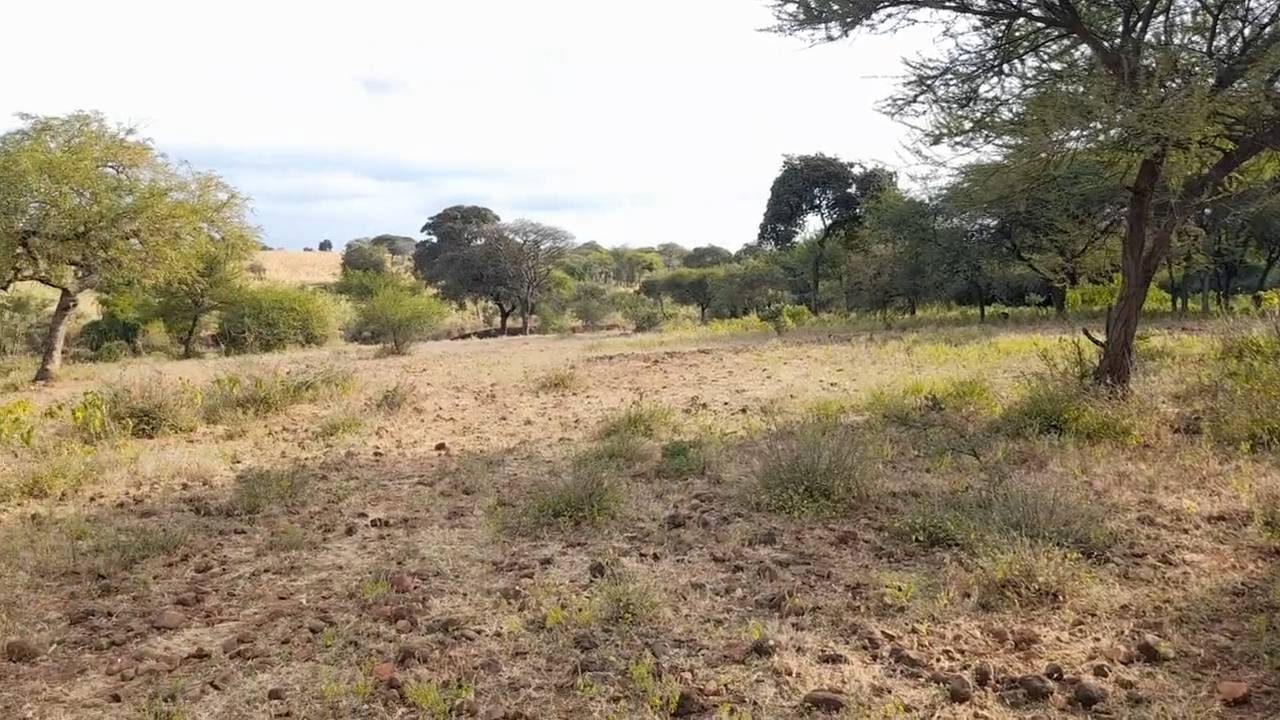 Kiwanja Bora cha 19×40m Karibu na Barabara ya Naberera chenye Maji na Umeme
