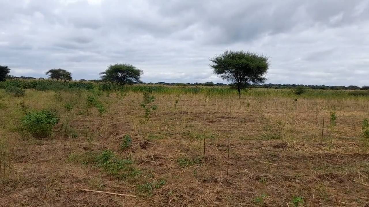 Shamba zuri la ekari 3 Olodenderit