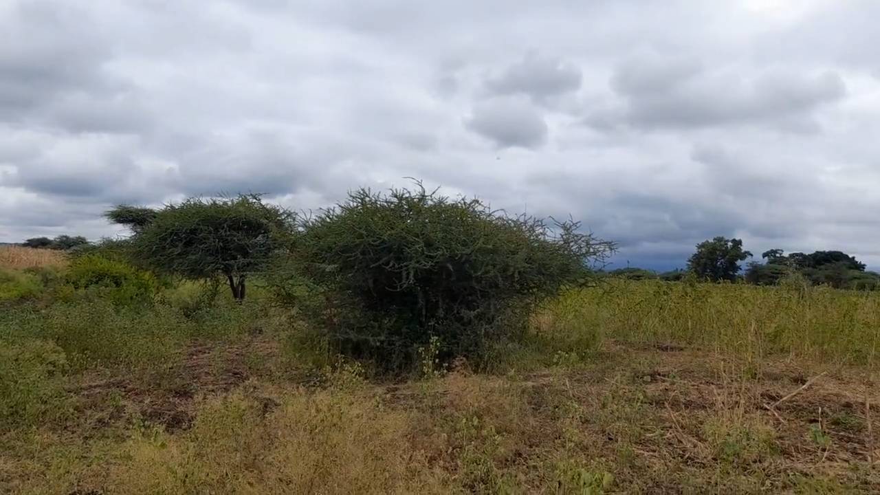 Shamba zuri la ekari 3 Olodenderit