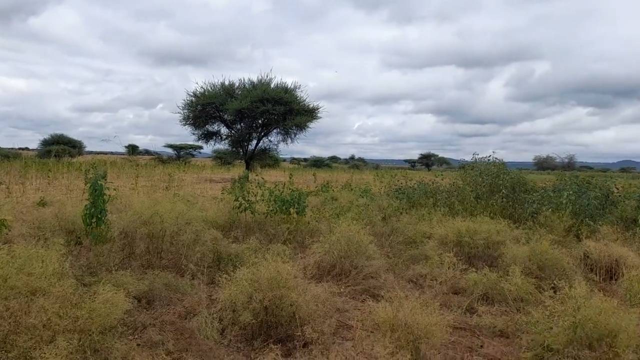 Shamba zuri la ekari 3 Olodenderit