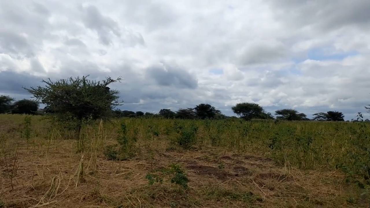 Shamba zuri la ekari 3 Olodenderit