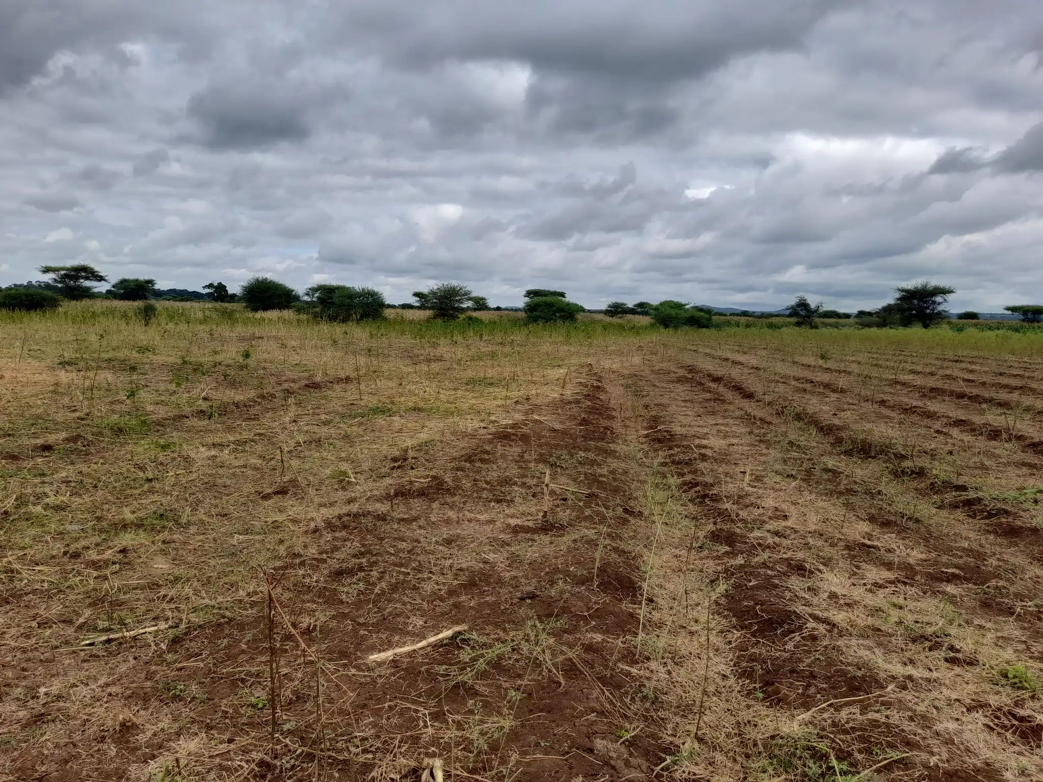 Shamba zuri la ekari 3 Olodenderit