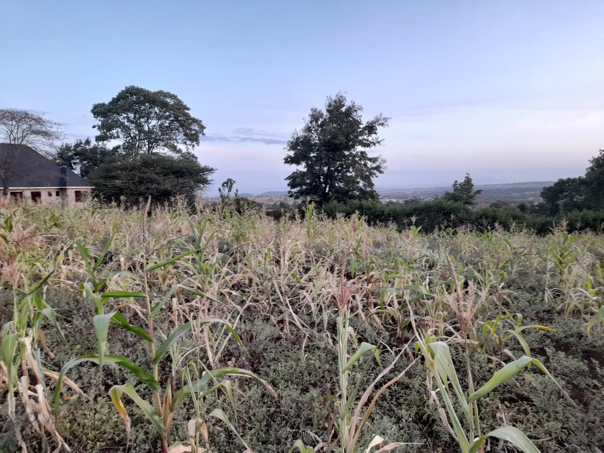 Kiwanja cha 20 × 34m Kinauzwa Kiserian, Arusha – Maji na Umeme Vinapatikana
