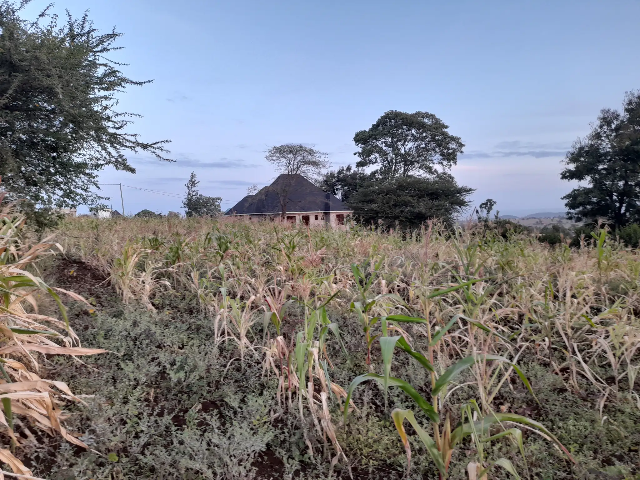 Kiwanja cha 20 × 34m Kinauzwa Kiserian, Arusha – Maji na Umeme Vinapatikana