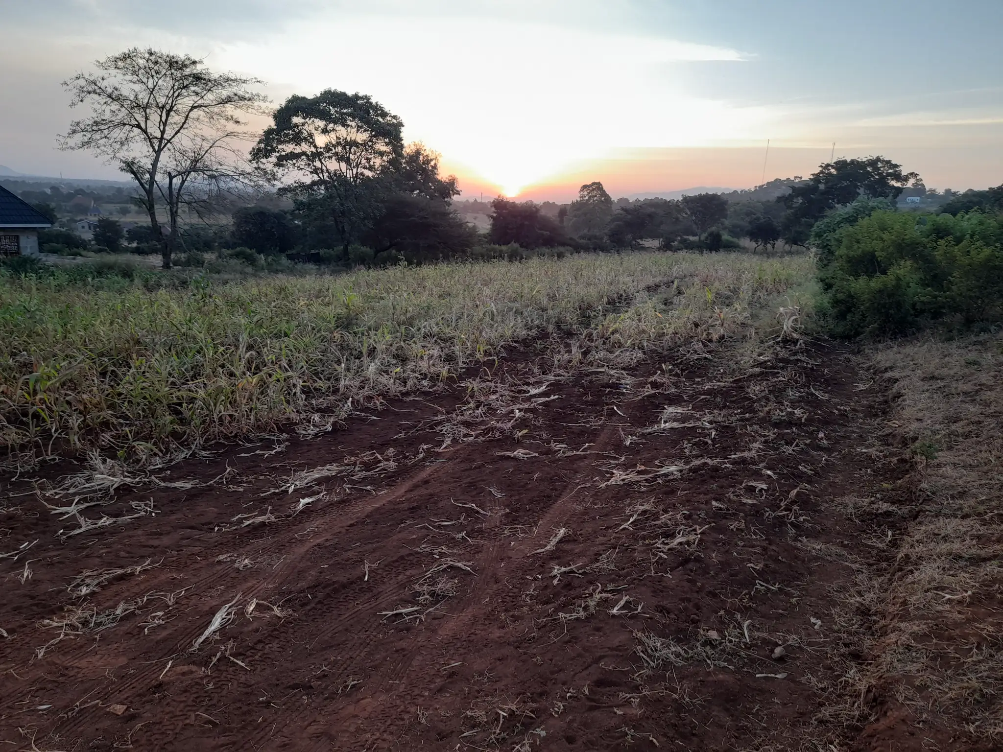 Kiwanja cha 20 × 34m Kinauzwa Kiserian, Arusha – Maji na Umeme Vinapatikana