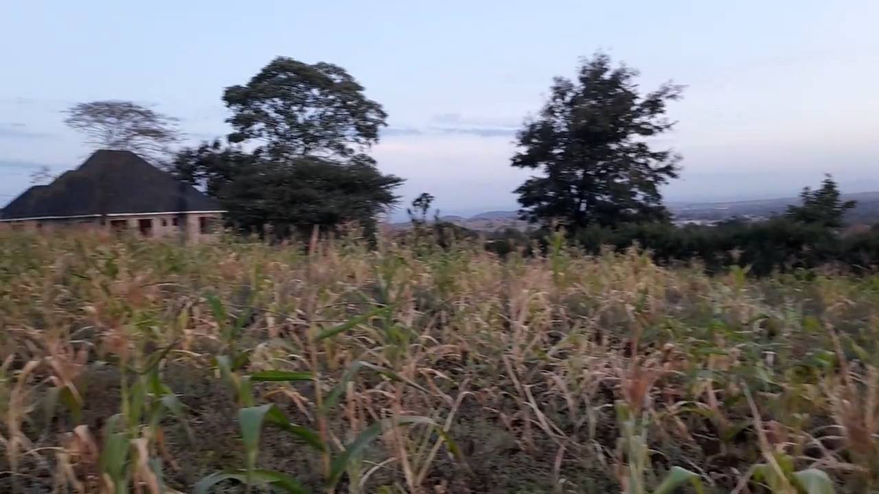 Kiwanja cha 20 × 34m Kinauzwa Kiserian, Arusha – Maji na Umeme Vinapatikana