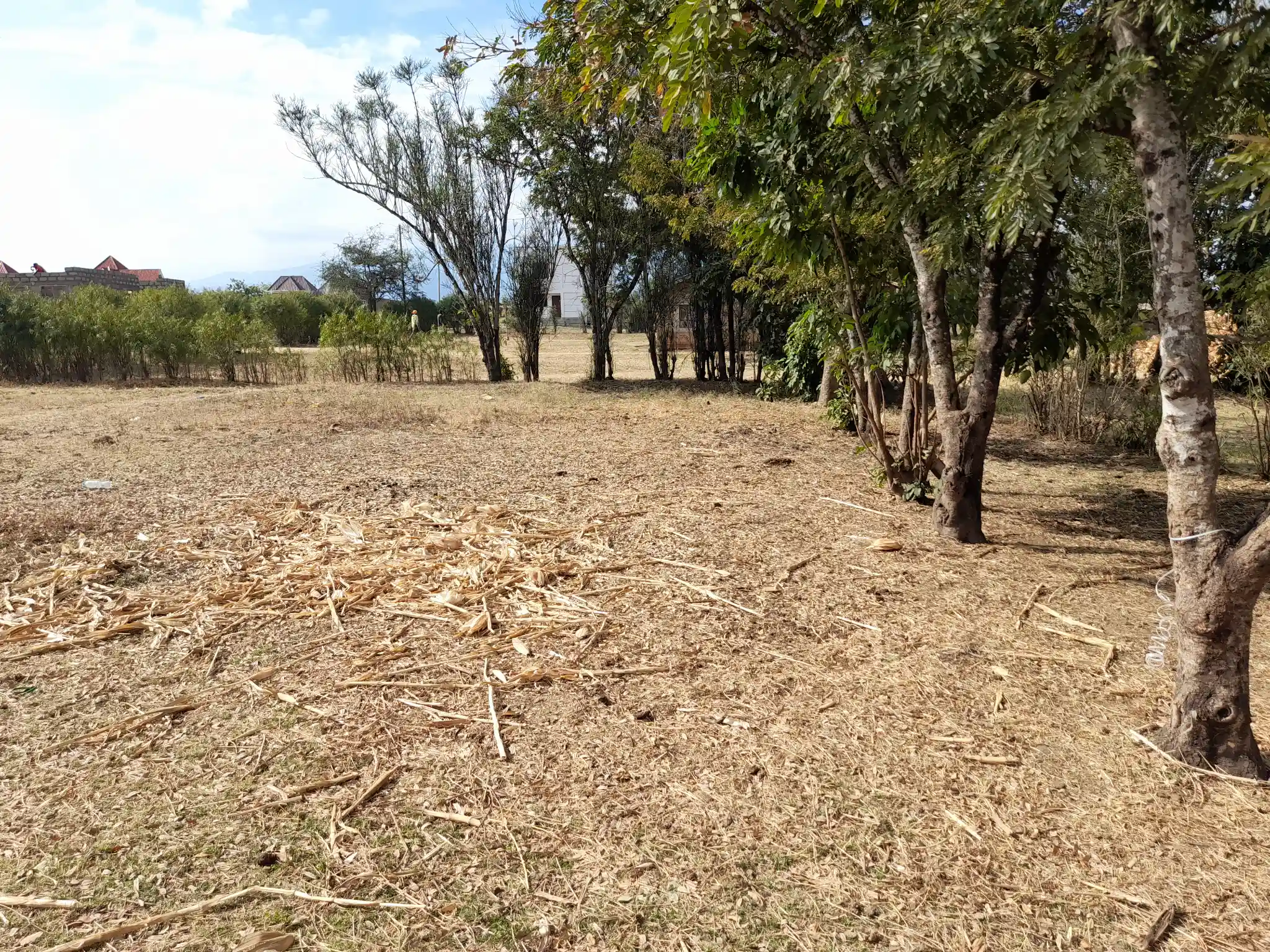 Kiwanja Bora cha 20×20m cha Biashara Kiserian Madukani – Karibu na Naberera Road na Arusha Bypass