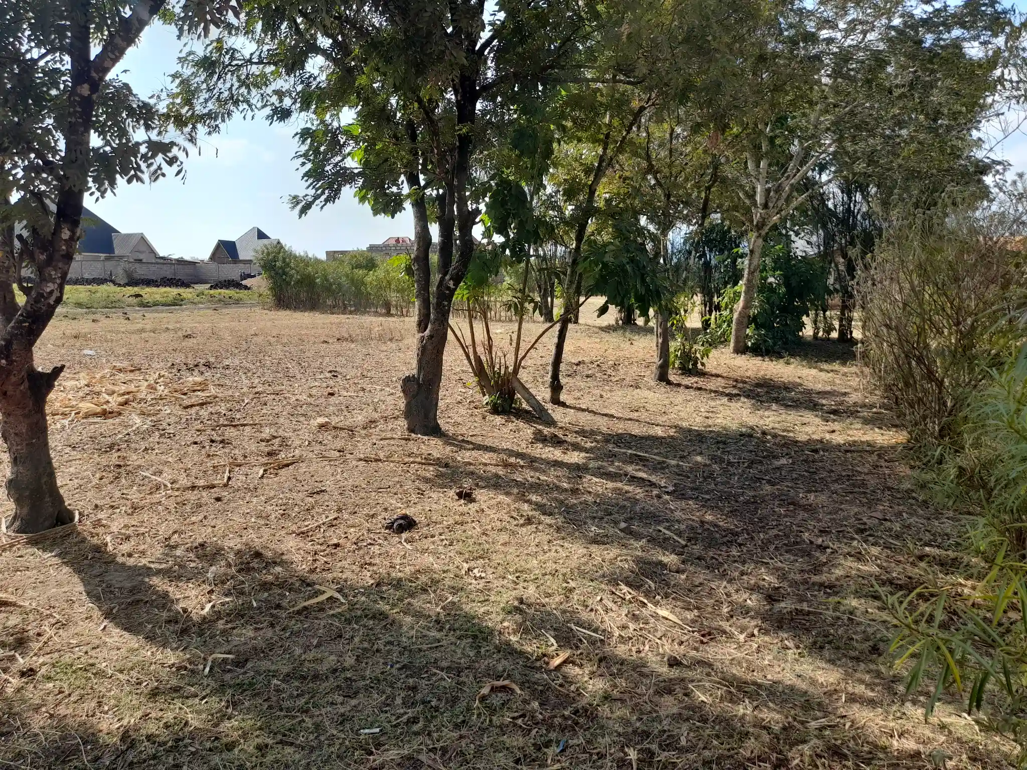 Kiwanja Bora cha 20×20m cha Biashara Kiserian Madukani – Karibu na Naberera Road na Arusha Bypass