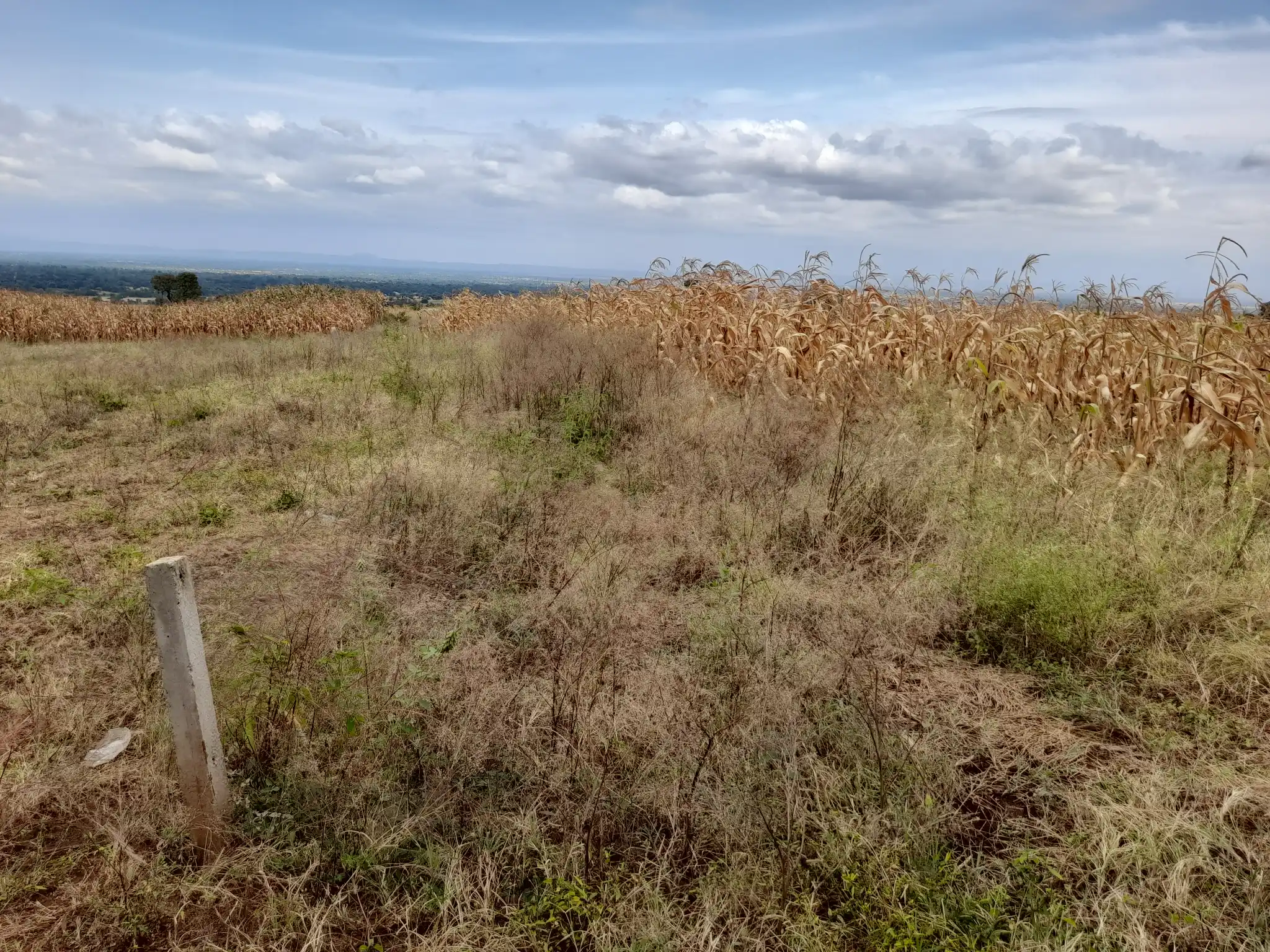 Kiwanja cha Makazi 18×20m Maroroi – Umbali wa 1.6km kutoka Barabara ya Arusha Bypass