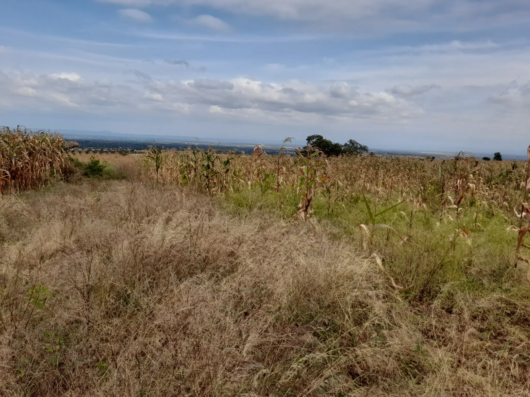 Kiwanja cha Makazi 18×20m Maroroi – Umbali wa 1.6km kutoka Barabara ya Arusha Bypass