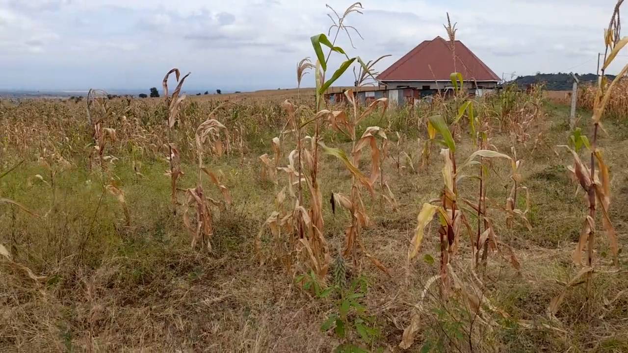 Kiwanja cha Makazi 18×20m Maroroi – Umbali wa 1.6km kutoka Barabara ya Arusha Bypass