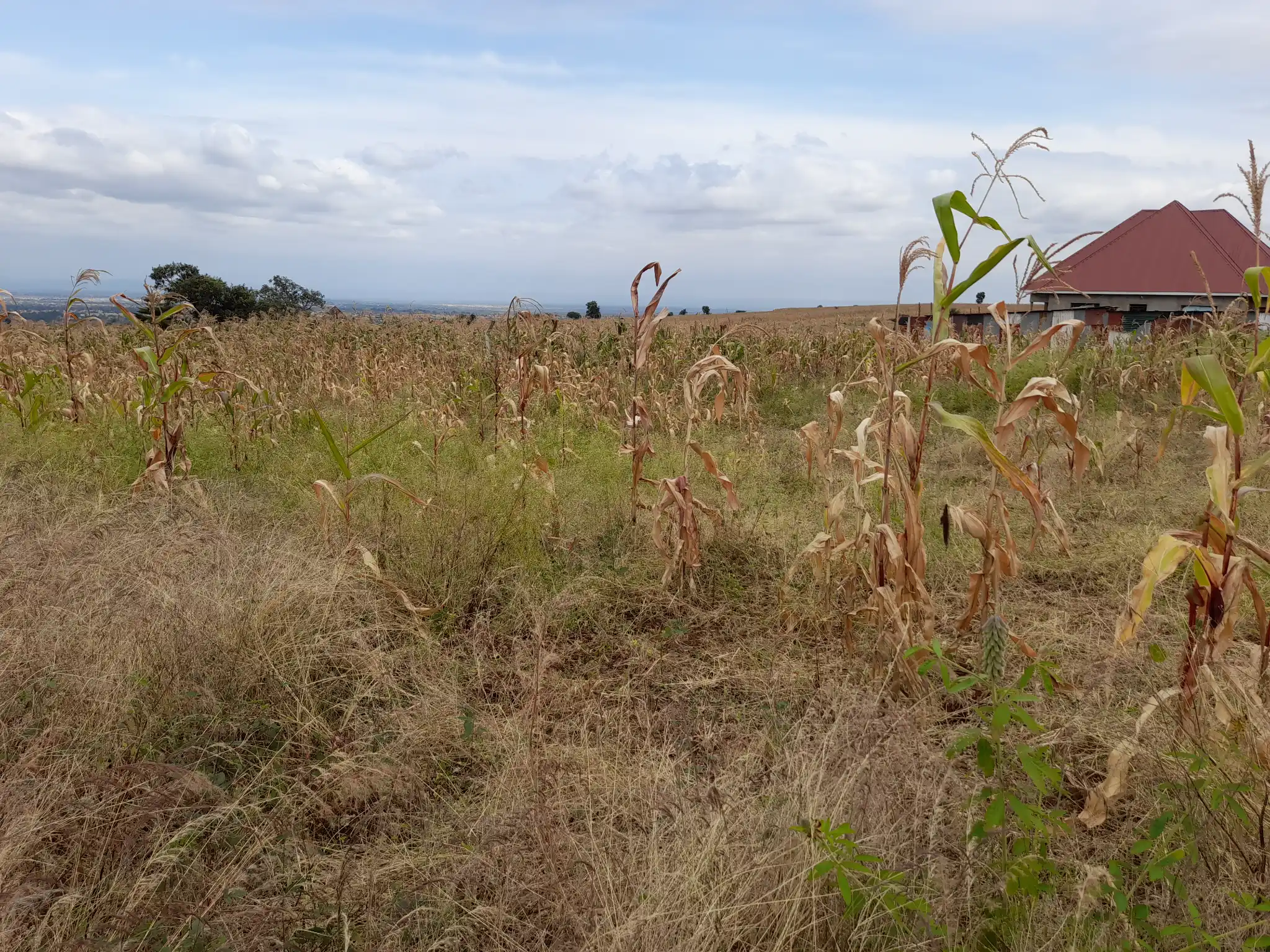 Kiwanja cha Makazi 18×20m Maroroi – Umbali wa 1.6km kutoka Barabara ya Arusha Bypass