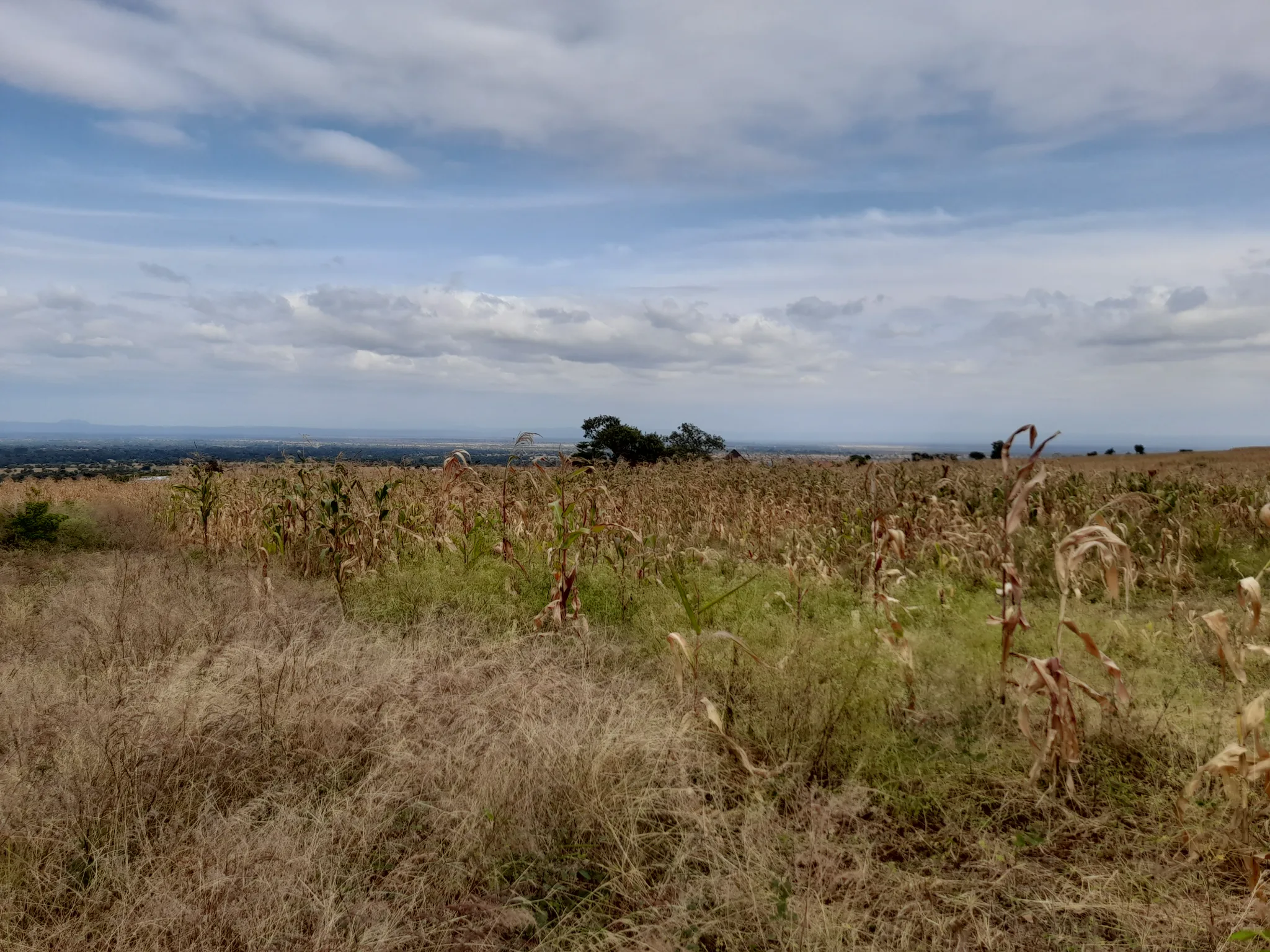 Kiwanja cha Makazi 18×20m Maroroi – Umbali wa 1.6km kutoka Barabara ya Arusha Bypass