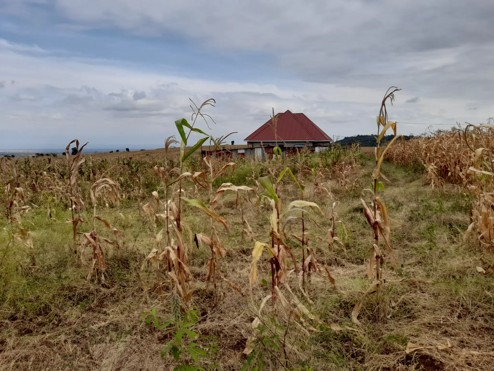 Kiwanja cha Makazi 18×20m Maroroi – Umbali wa 1.6km kutoka Barabara ya Arusha Bypass
