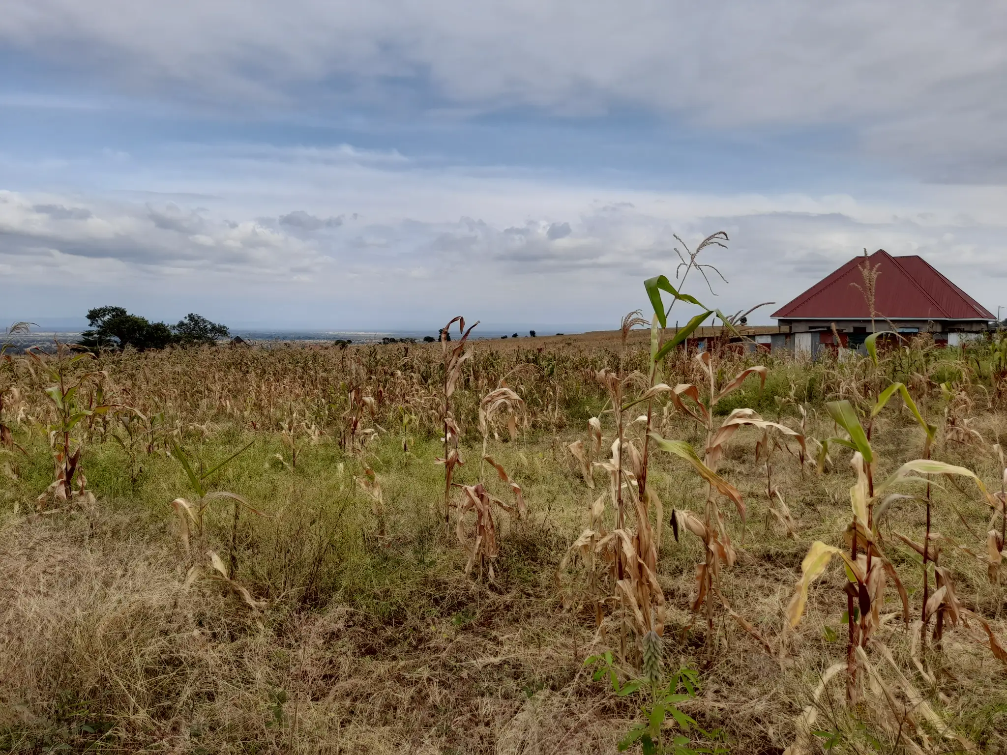 Kiwanja cha Makazi 18×20m Maroroi – Umbali wa 1.6km kutoka Barabara ya Arusha Bypass