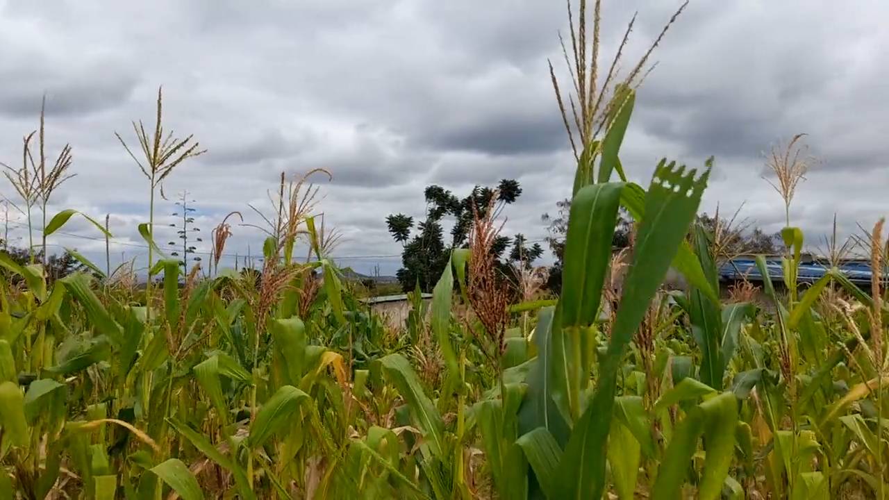 Kiwanja cha 20m x 20m Kiserian kilichopo karibu na barabara kuu ya Naberera