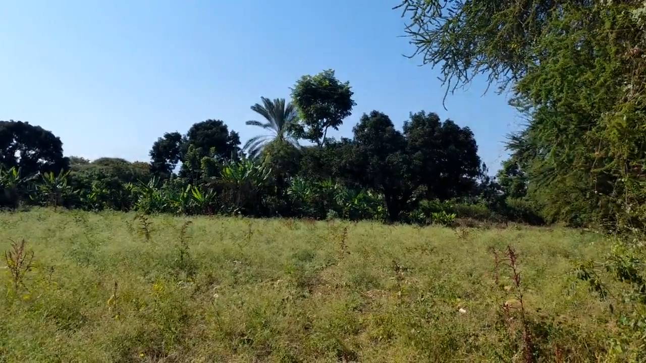 Ekari 1.2 ya Ardhi Yenye Rutuba kwa Kilimo au Makazi yenye Mfereji wa Umwagiliaji