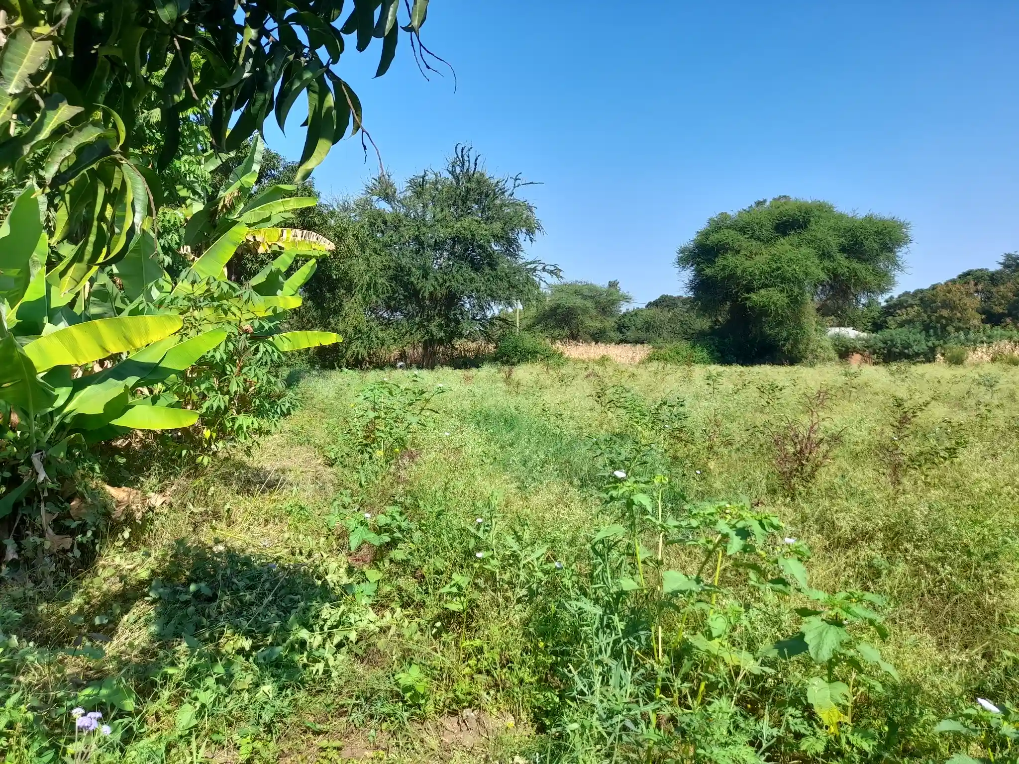 Ekari 1.2 ya Ardhi Yenye Rutuba kwa Kilimo au Makazi yenye Mfereji wa Umwagiliaji