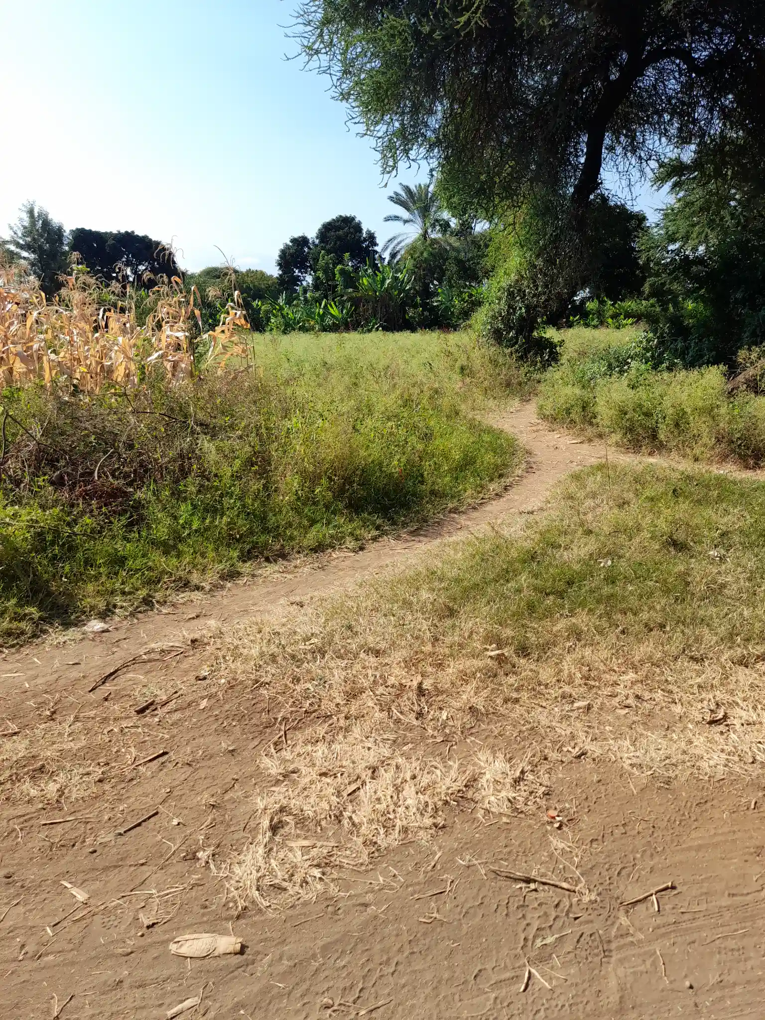 Ekari 1.2 ya Ardhi Yenye Rutuba kwa Kilimo au Makazi yenye Mfereji wa Umwagiliaji