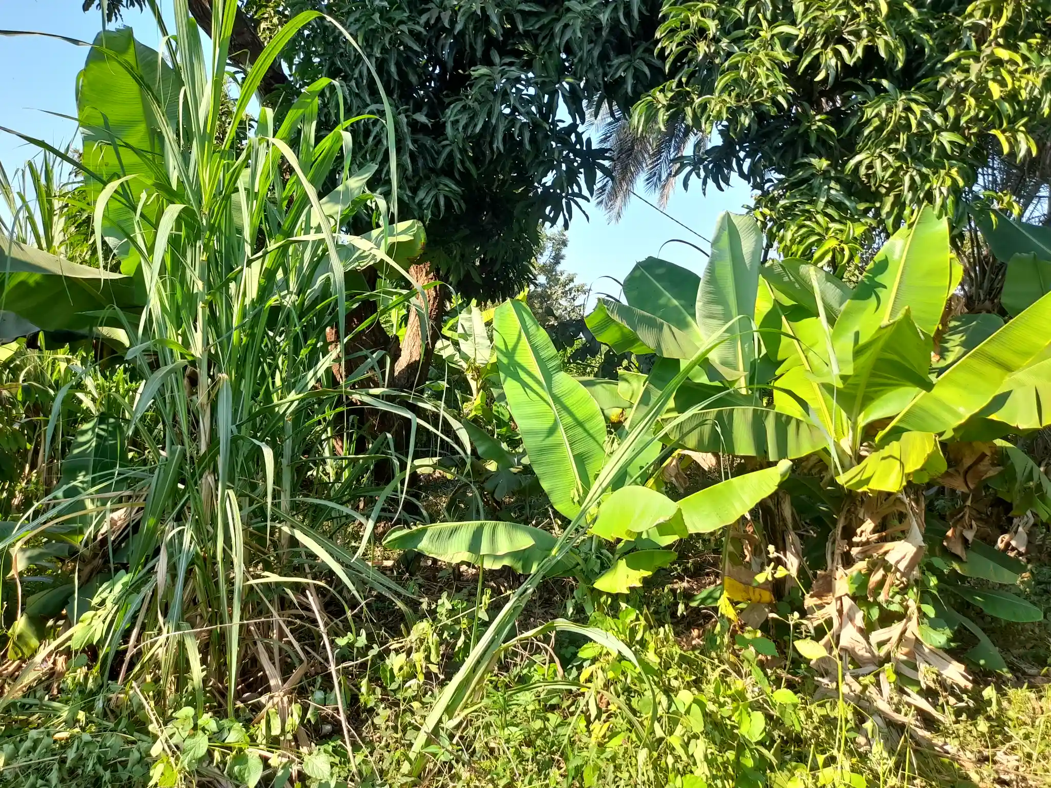 Ekari 1.2 ya Ardhi Yenye Rutuba kwa Kilimo au Makazi yenye Mfereji wa Umwagiliaji