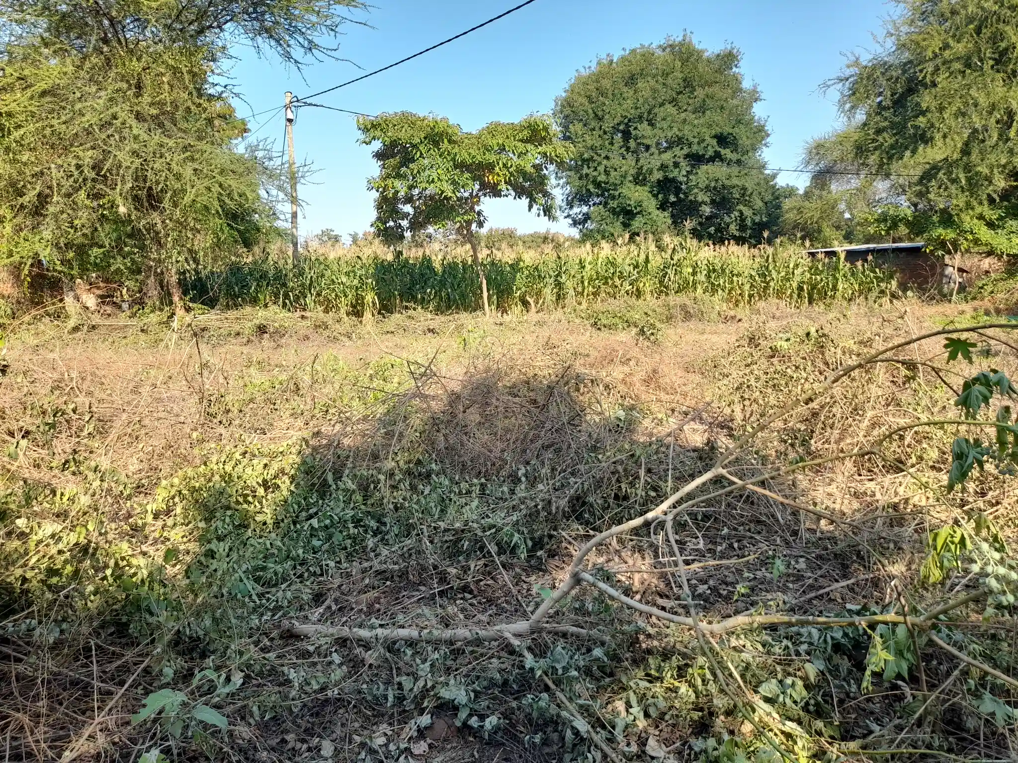 Ekari 1.2 ya Ardhi Yenye Rutuba kwa Kilimo au Makazi yenye Mfereji wa Umwagiliaji