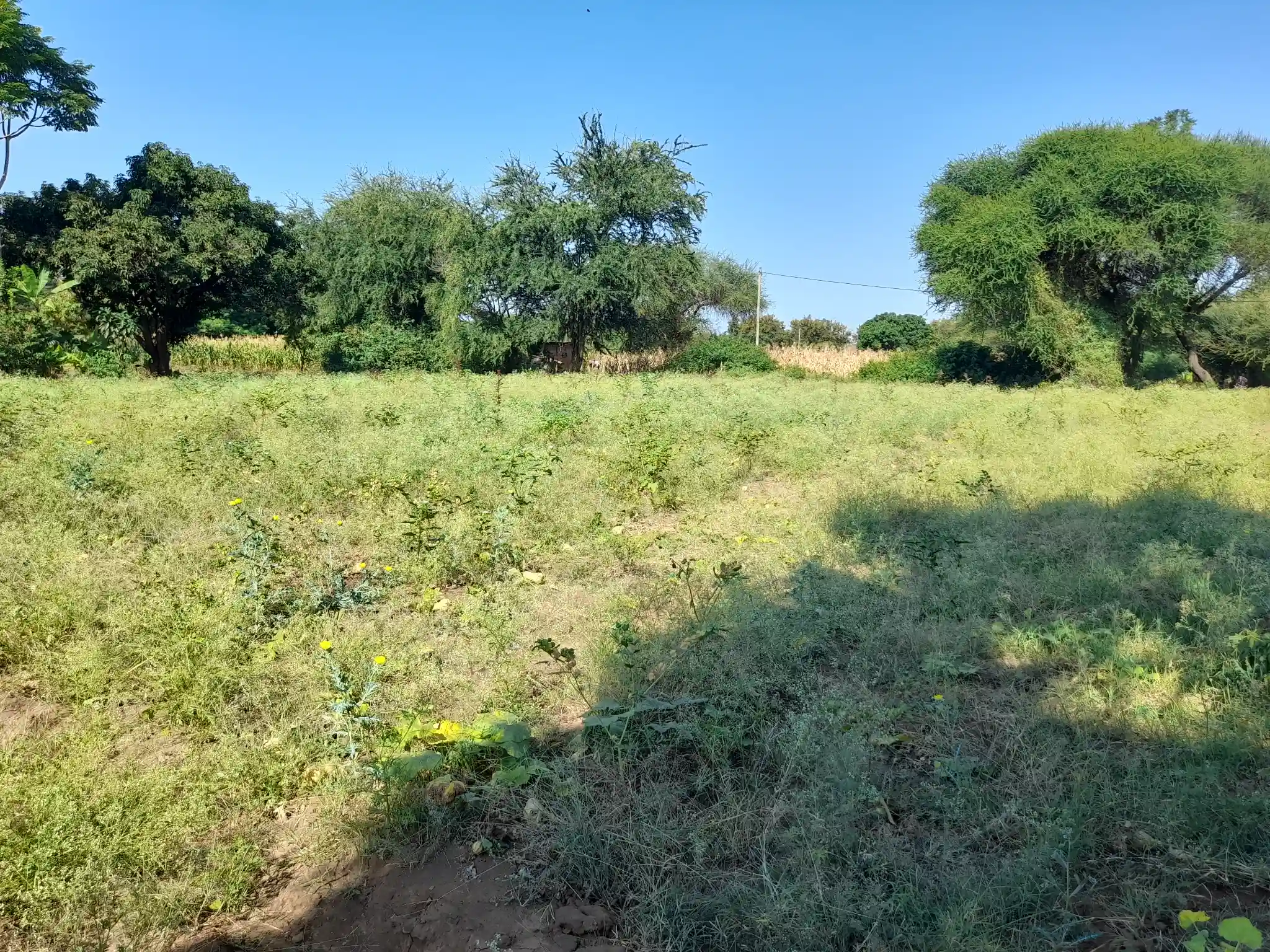 Ekari 1.2 ya Ardhi Yenye Rutuba kwa Kilimo au Makazi yenye Mfereji wa Umwagiliaji