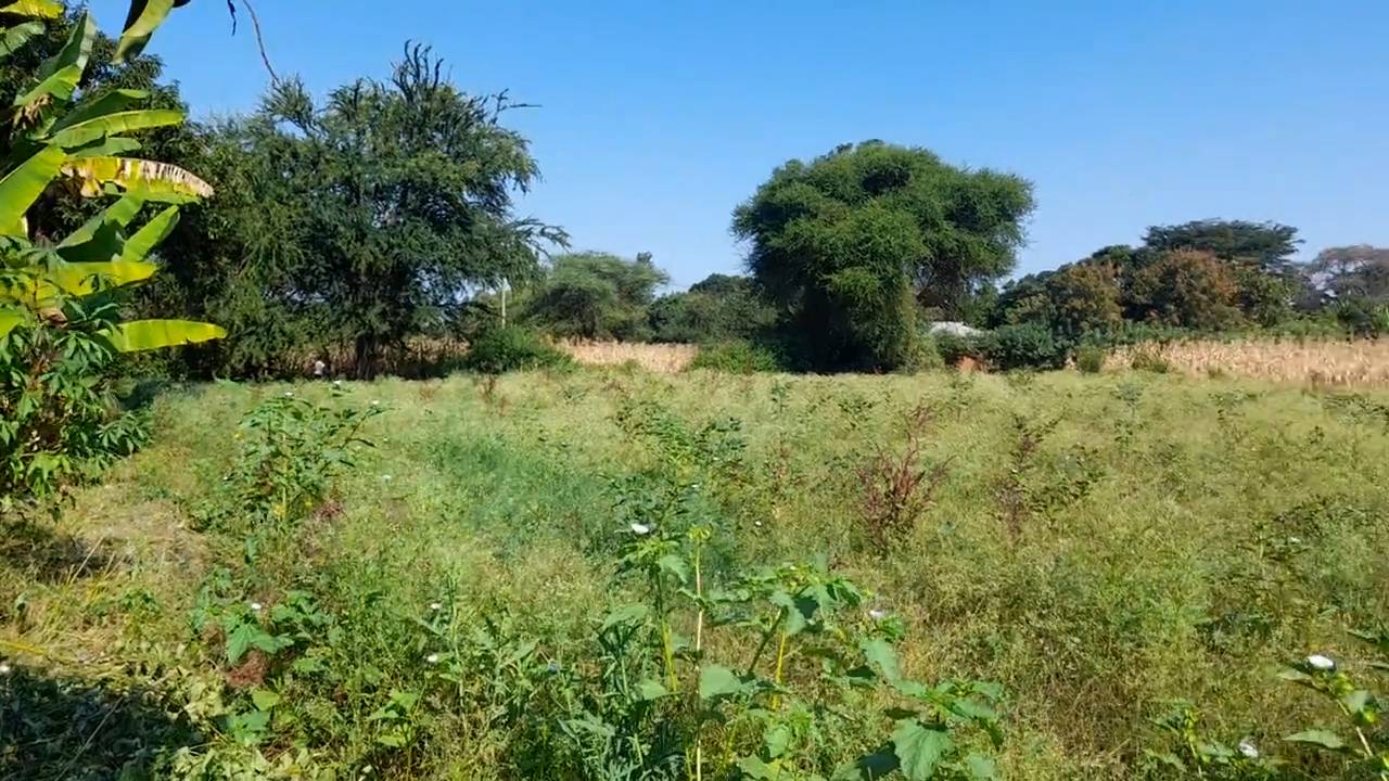 Ekari 1.2 ya Ardhi Yenye Rutuba kwa Kilimo au Makazi yenye Mfereji wa Umwagiliaji