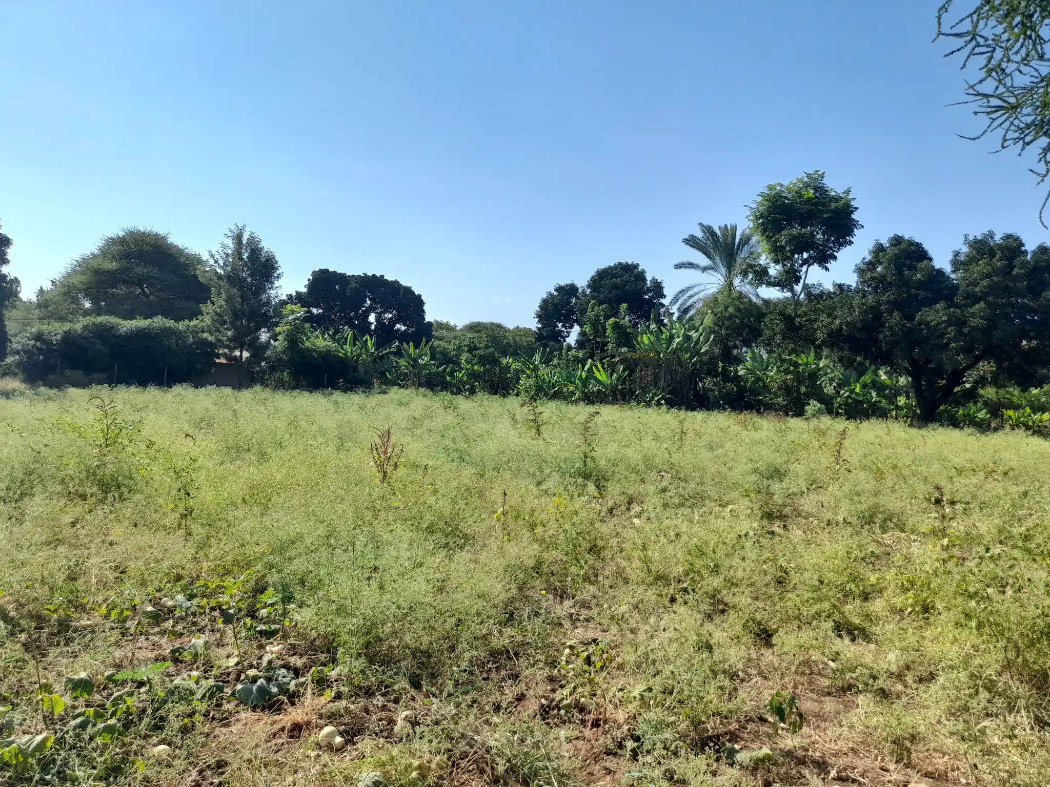 Ekari 1.2 ya Ardhi Yenye Rutuba kwa Kilimo au Makazi yenye Mfereji wa Umwagiliaji