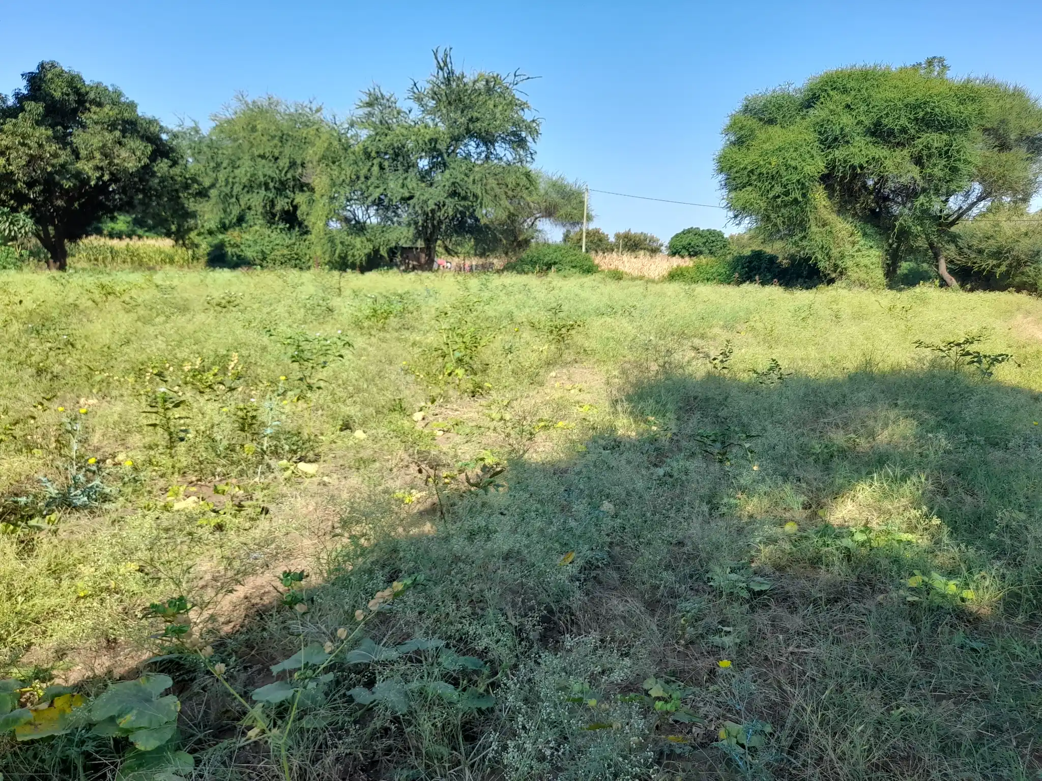Ekari 1.2 ya Ardhi Yenye Rutuba kwa Kilimo au Makazi yenye Mfereji wa Umwagiliaji