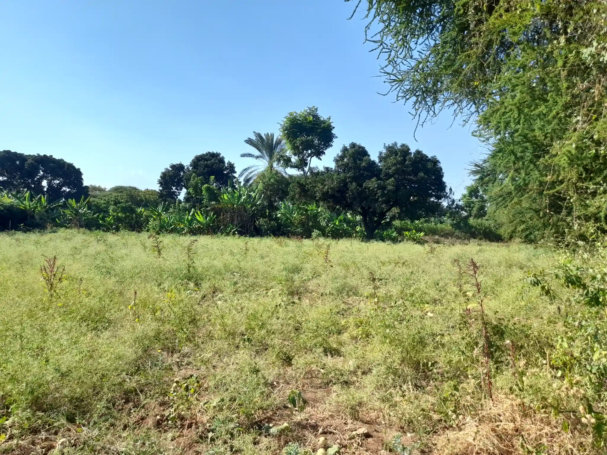 Ekari 1.2 ya Ardhi Yenye Rutuba kwa Kilimo au Makazi yenye Mfereji wa Umwagiliaji