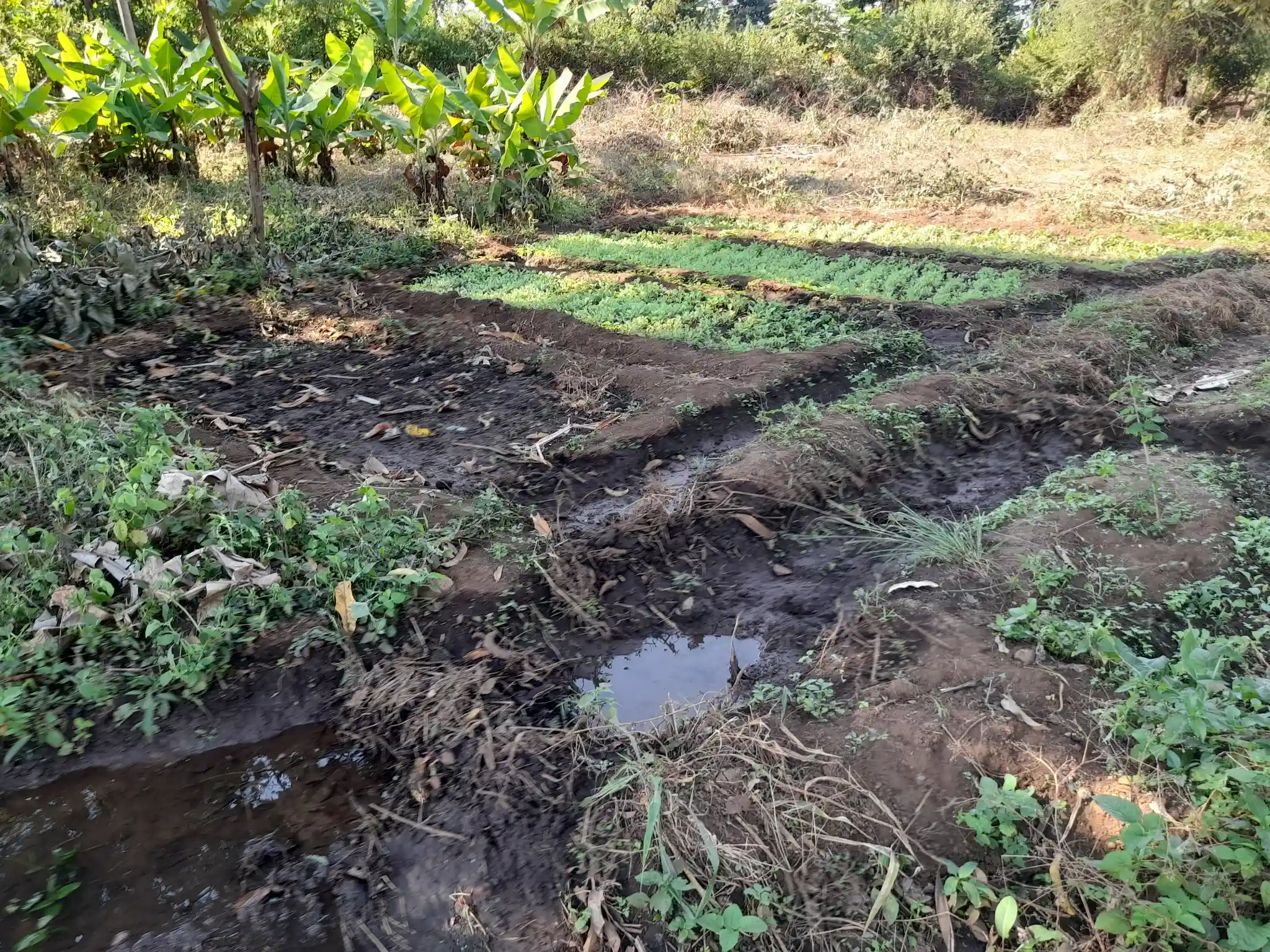 Ekari 1.2 ya Ardhi Yenye Rutuba kwa Kilimo au Makazi yenye Mfereji wa Umwagiliaji