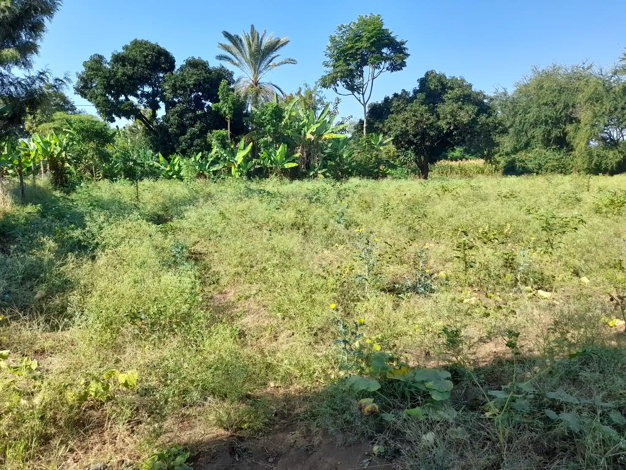 Ekari 1.2 ya Ardhi Yenye Rutuba kwa Kilimo au Makazi yenye Mfereji wa Umwagiliaji