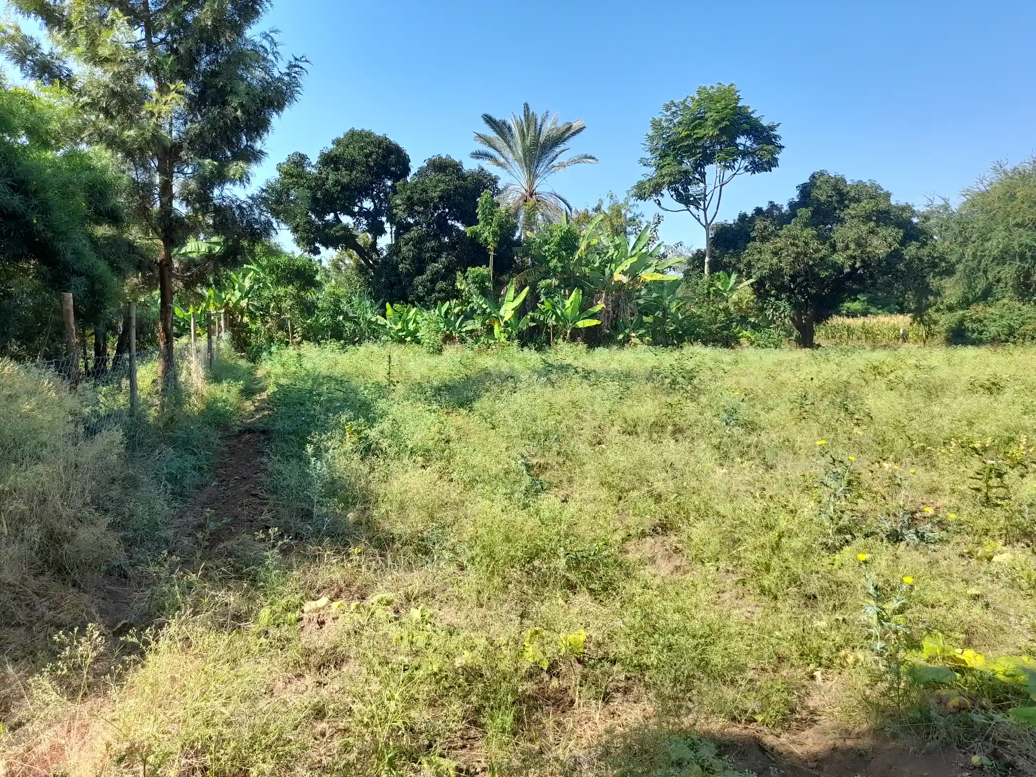 Ekari 1.2 ya Ardhi Yenye Rutuba kwa Kilimo au Makazi yenye Mfereji wa Umwagiliaji