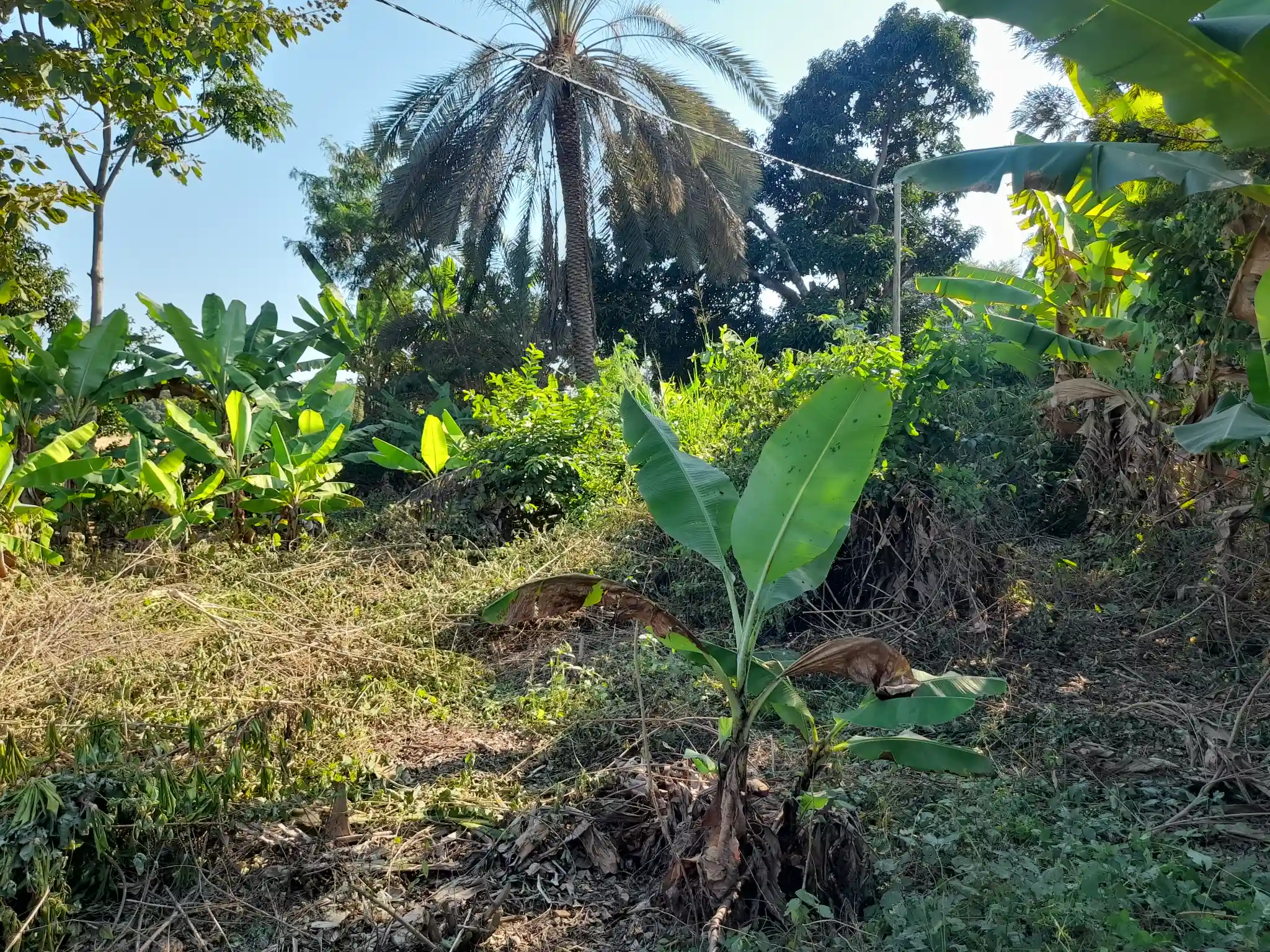 Ekari 1.2 ya Ardhi Yenye Rutuba kwa Kilimo au Makazi yenye Mfereji wa Umwagiliaji