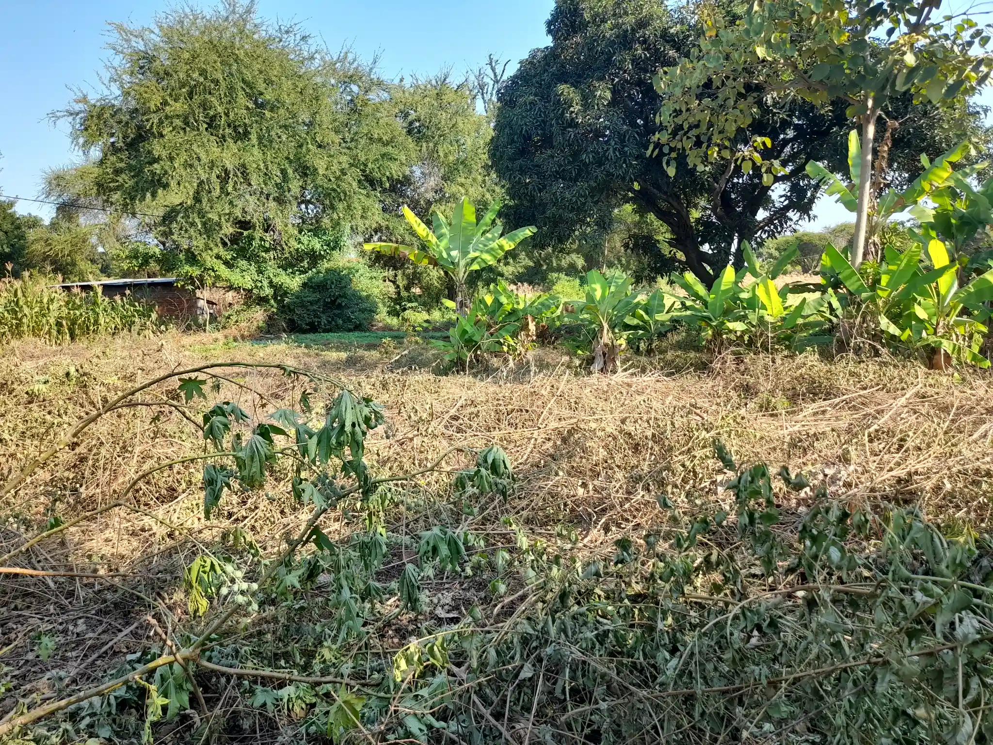 Ekari 1.2 ya Ardhi Yenye Rutuba kwa Kilimo au Makazi yenye Mfereji wa Umwagiliaji