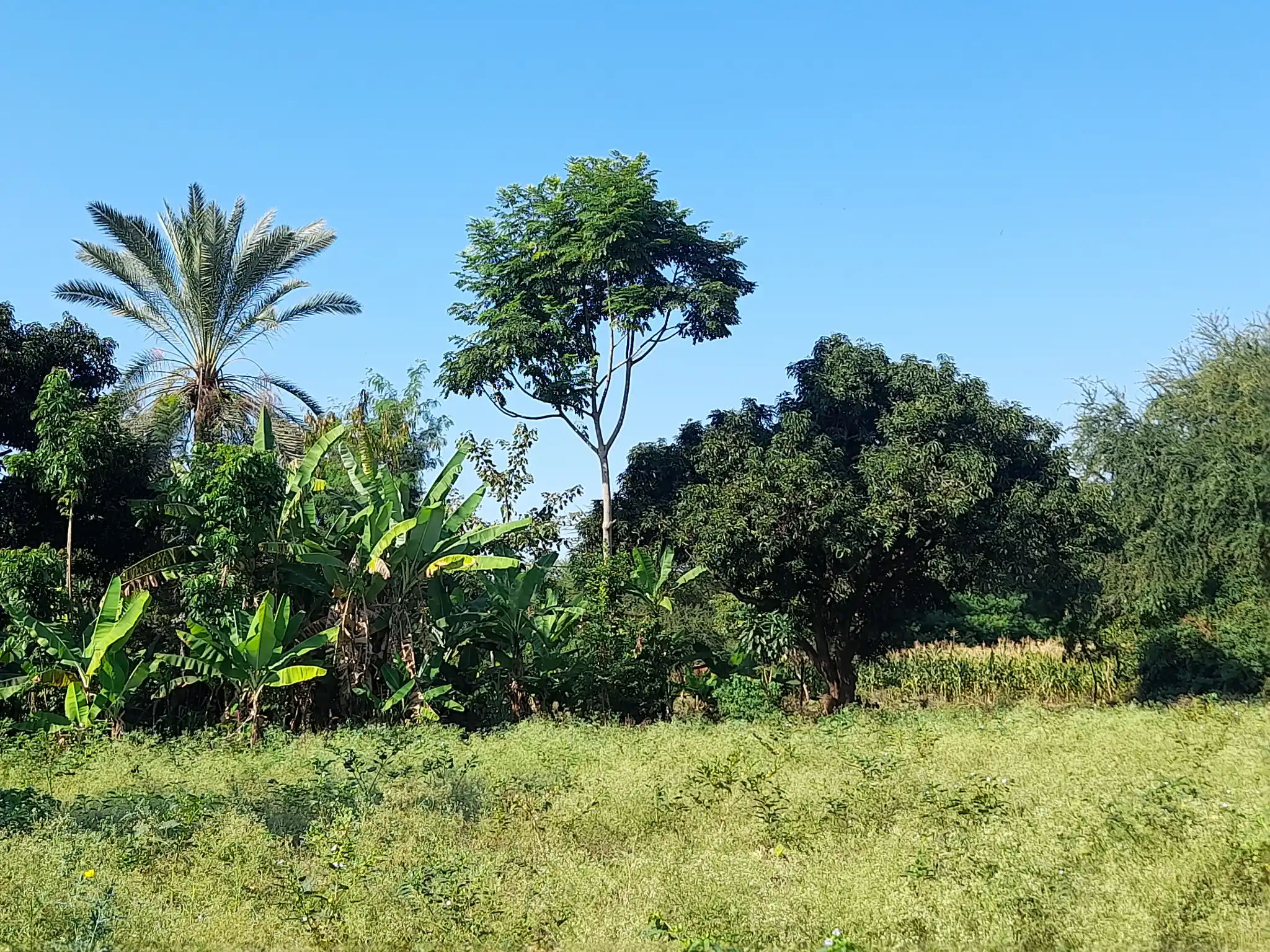 Ekari 1.2 ya Ardhi Yenye Rutuba kwa Kilimo au Makazi yenye Mfereji wa Umwagiliaji