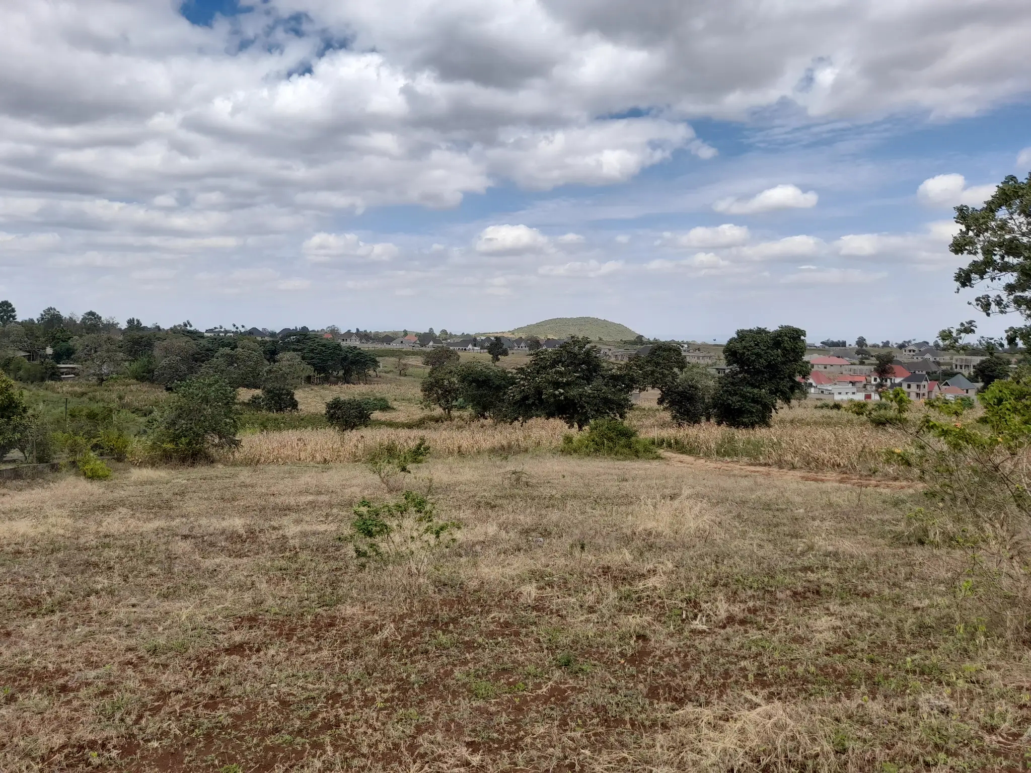 Kiwanja cha 31 × 55m Kilichopo Juu ya Kilima Olomitu – Mandhari Nzuri na Mazingira Tulivu