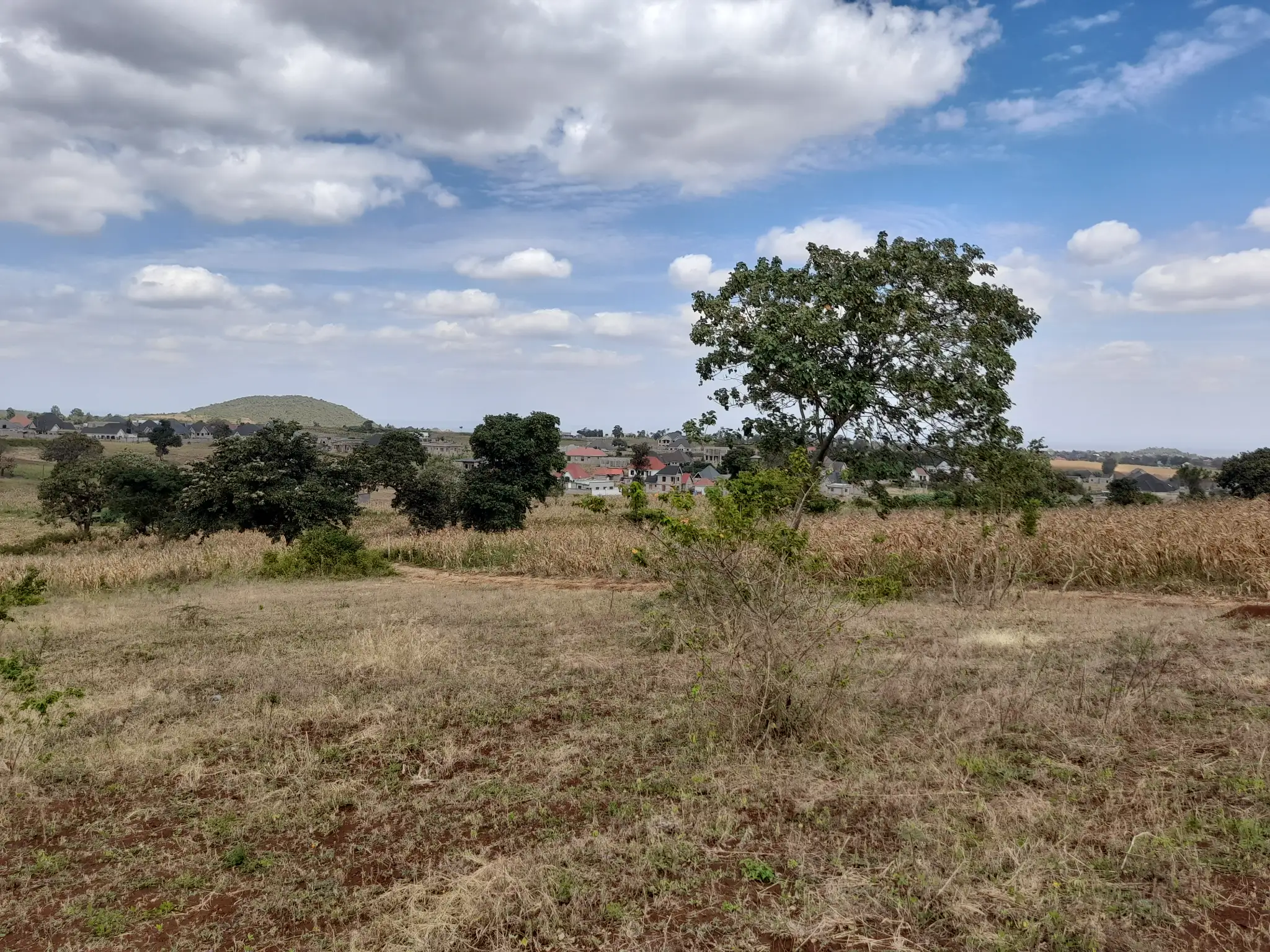 Kiwanja cha 31 × 55m Kilichopo Juu ya Kilima Olomitu – Mandhari Nzuri na Mazingira Tulivu