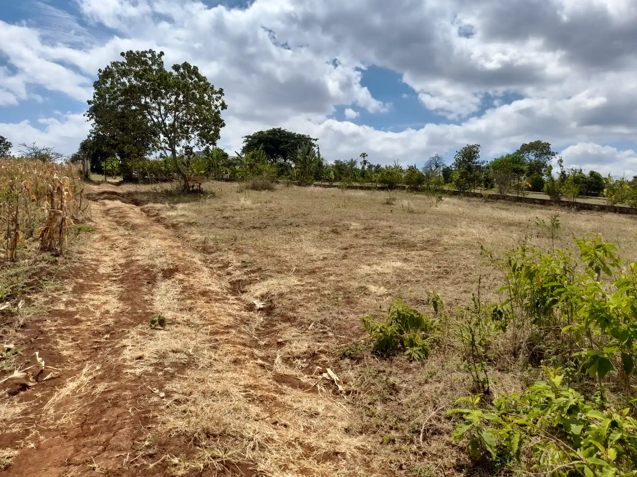 Kiwanja cha 31 × 55m Kilichopo Juu ya Kilima Olomitu – Mandhari Nzuri na Mazingira Tulivu