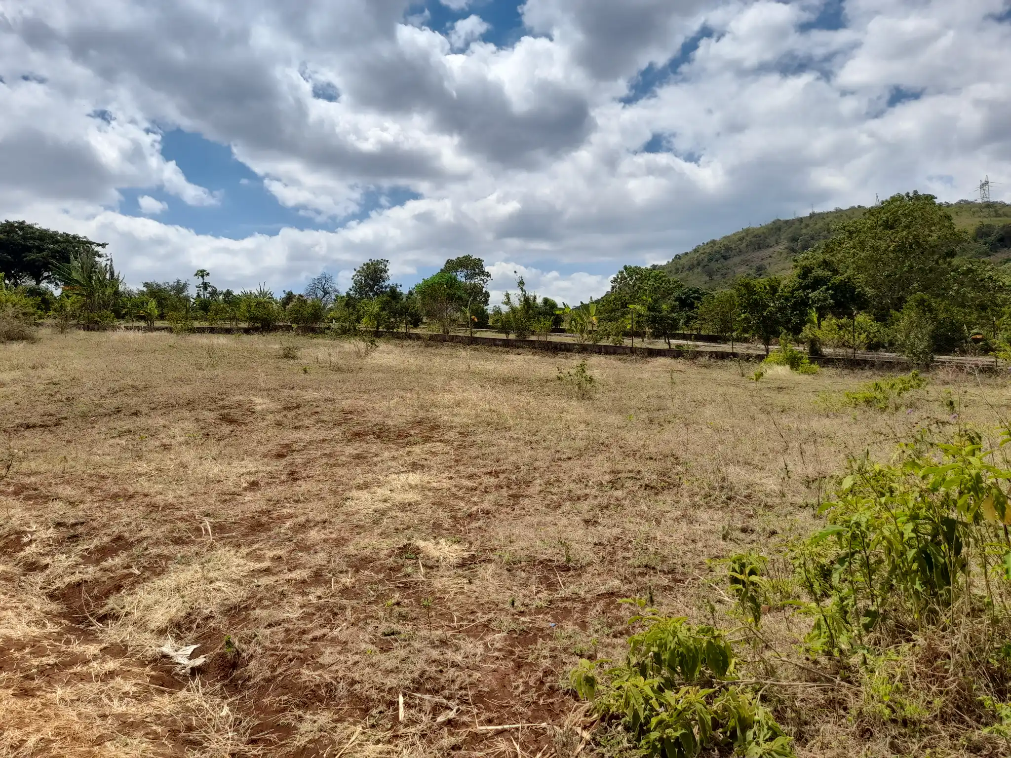 Kiwanja cha 31 × 55m Kilichopo Juu ya Kilima Olomitu – Mandhari Nzuri na Mazingira Tulivu