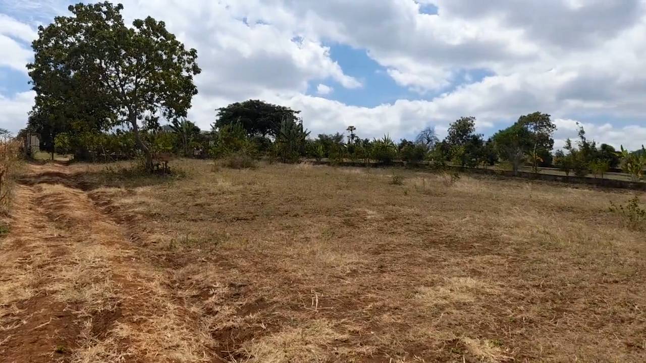 Kiwanja cha 31 × 55m Kilichopo Juu ya Kilima Olomitu – Mandhari Nzuri na Mazingira Tulivu