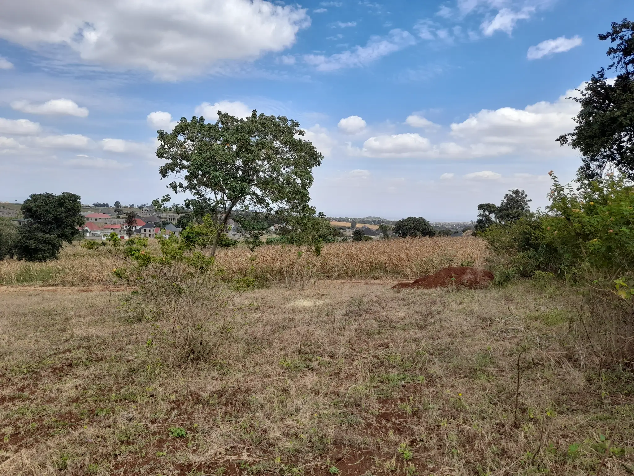 Kiwanja cha 31 × 55m Kilichopo Juu ya Kilima Olomitu – Mandhari Nzuri na Mazingira Tulivu